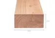 Balk Douglas hout 100x200mm fijnbezaagd 