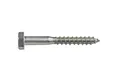 Houtdraadbout RVS 10x100mm