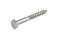 Houtdraadbout RVS 10x100mm