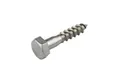 Houtdraadbout RVS 10x60mm