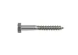 Houtdraadbout RVS 10x70mm