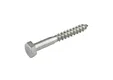 Houtdraadbout RVS 10x70mm