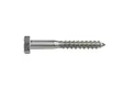 Houtdraadbout RVS 10x80mm