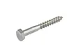 Houtdraadbout RVS 10x80mm