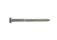 Houtdraadbout RVS 8x100mm