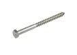 Houtdraadbout RVS 8x120mm