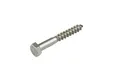 Houtdraadbout RVS 8x50mm