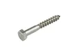 Houtdraadbout RVS 8x70mm