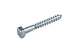 Houtdraadbout verzinkt 10x80mm
