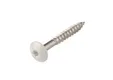 HPL Compact schroef 4,8x38mm zuiver wit RAL 9010