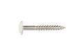 HPL Compact schroef 4,8x38mm zuiver wit RAL 9010