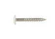 HPL Compact schroef 4,8x38mm wit RAL 9016