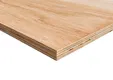 Multiplex Hardhout 18mm | Vol pak 50 stuks