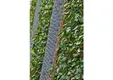 Schanskorf gaaselement 100 x 200cm verzinkt
