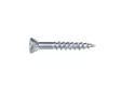 Schroef RVS 4,5x30mm Torx T20 (SUS410)