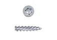 Schroef RVS 4,5x40mm Torx T20 (SUS410)