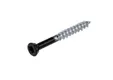 Schroef RVS 5x50mm Torx (SUS410) zwart RAL 9011 gepoedercoat