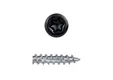 Schroef RVS 5x50mm Torx (SUS410) zwart RAL 9011 gepoedercoat