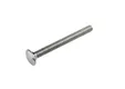 Slotbout RVS M8x120mm