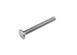 Slotbout RVS M8x80mm