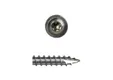 Tellerkopschroef RVS 8x100mm Torx T40