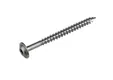 Tellerkopschroef RVS 8x100mm Torx T40