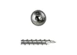 Tellerkopschroef RVS 8x80mm Torx T40