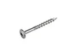 Tellerkopschroef RVS 8x80mm Torx T40