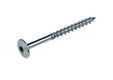 Tellerkopschroef verzinkt 8x100mm Torx T40