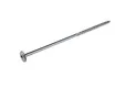 Tellerkopschroef verzinkt 8x240mm Torx T40