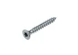 Universele houtschroef Woodpecker 4x30mm Torx