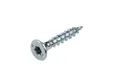 Universele houtschroef Woodpecker 5x30mm Torx