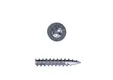 Universele houtschroef Woodpecker 6x100mm Torx