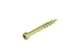 Vlonderschroef gecoat 5x40mm Torx T25