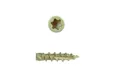 Vlonderschroef gecoat 5x50mm Torx T25