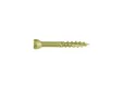 Vlonderschroef gecoat 5x50mm Torx T25