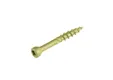 Vlonderschroef gecoat 5x50mm Torx T25
