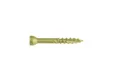 Vlonderschroef gecoat 5x60mm Torx T25
