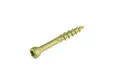 Vlonderschroef gecoat 5x60mm Torx T25