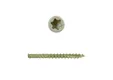 Vlonderschroef gecoat 5x70mm Torx T25