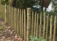 Weidepaal kastanje Ø70-90mm geschild gepunt