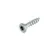 Buitenschroef gecoat 4,5x30mm Torx T20