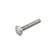 Slotbout RVS M10x70mm