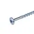 Tellerkopschroef verzinkt 6x60mm Torx T30