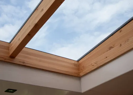 Lichtstraat Lessenaars Douglas ongeïsoleerd - Zwart (RAL 9005)