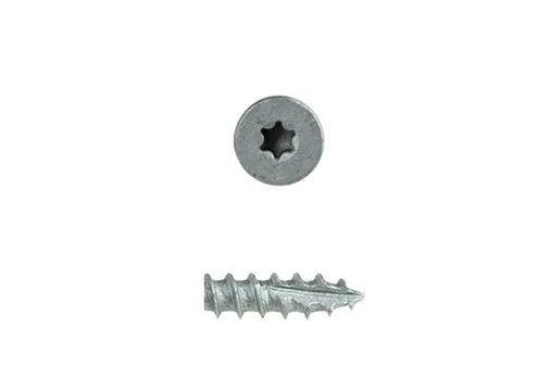 Buitenschroef gecoat 4x20mm Torx T20