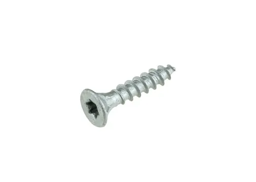 Buitenschroef gecoat 4x20mm Torx T20