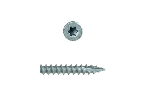 Buitenschroef gecoat 4x40/24mm Torx T20