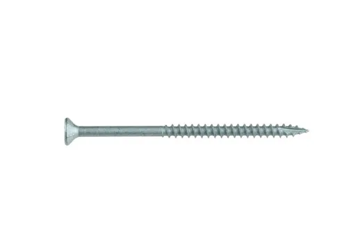 Buitenschroef gecoat 6x100/60mm Torx T25