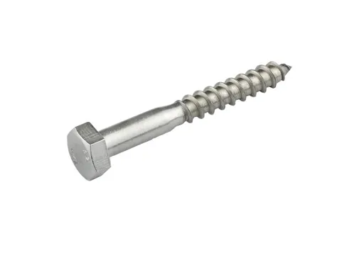 Houtdraadbout RVS 10x100mm
